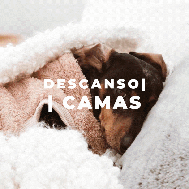 selección pampermut de antiparasitarios naturales